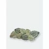 Trunkin&apos; USA Botanical Leaf Glass Bead Embroidered Table Runner Decor Green